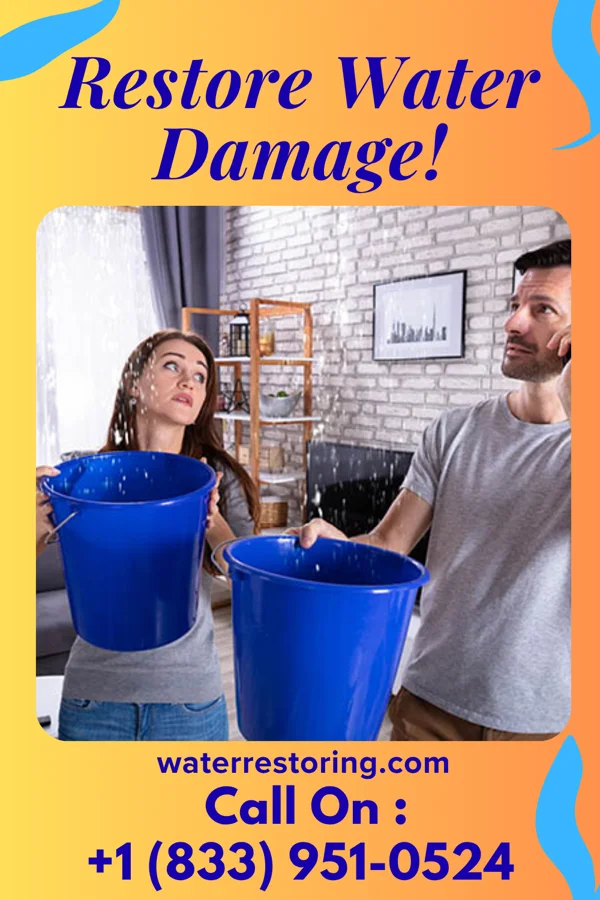 water restoration Local Water Damage Network Centenary